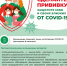 Вакцинация против COVID-19 - Камбарская РБ